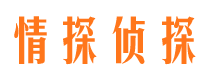 彭山市调查公司